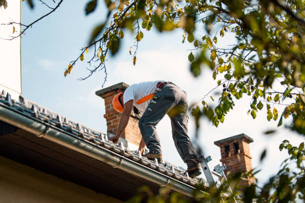 Best Storm Damage Roof Repair  in Macungie, PA